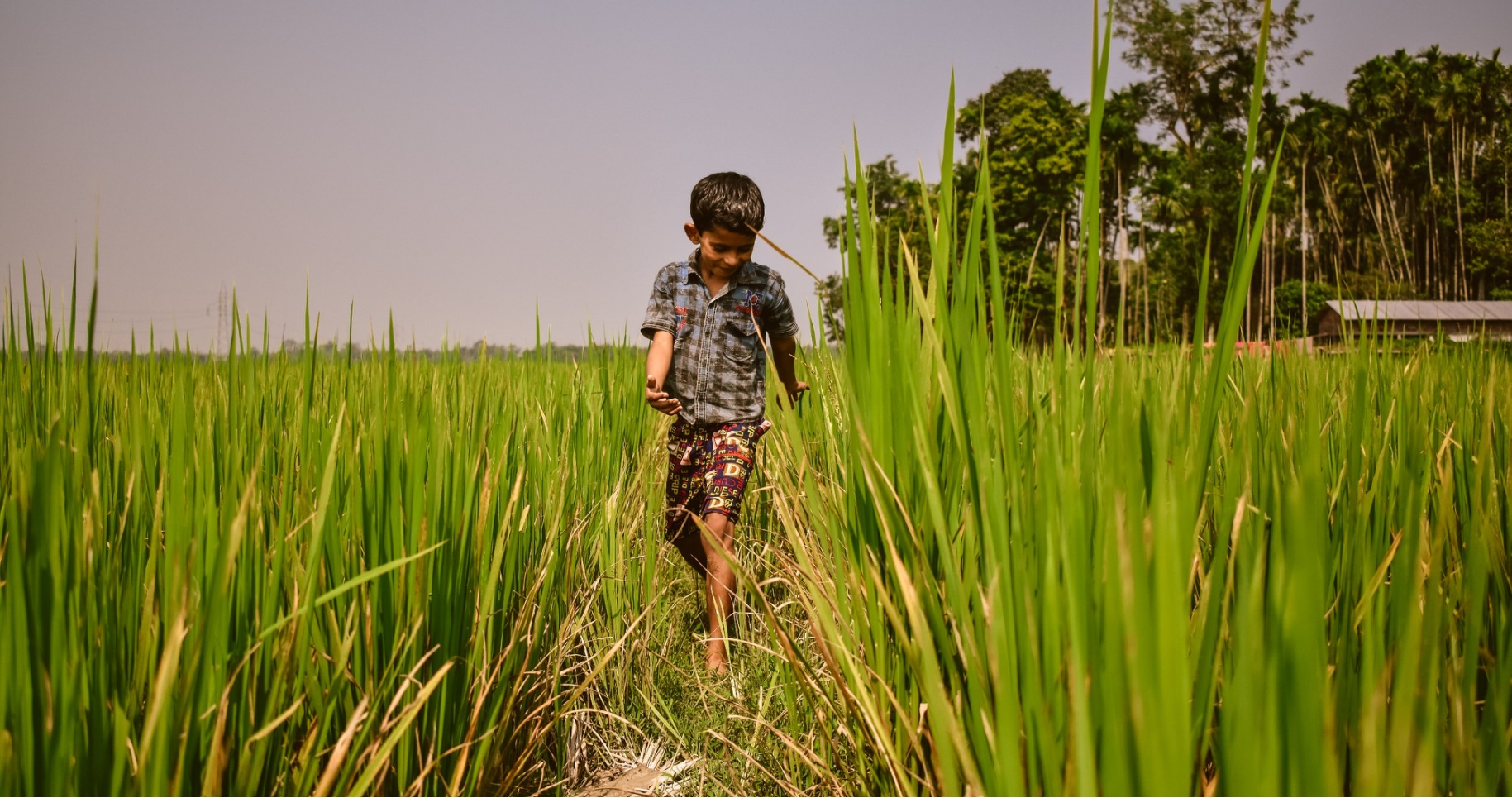 EMPOWERING LOCAL INDIA