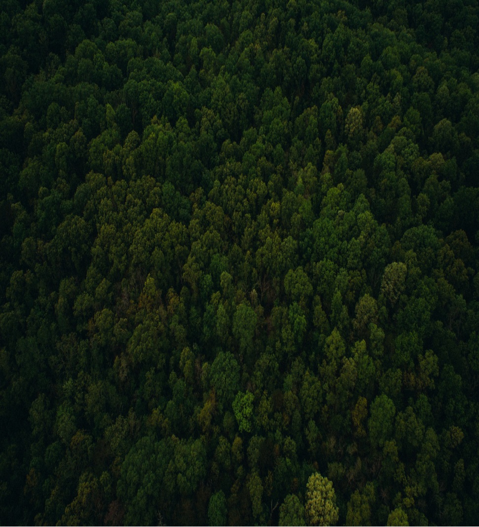 Environment and Ecological Protection and Development